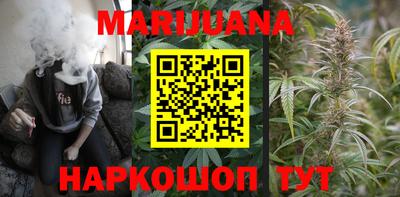 PSILOCYBIN Можга