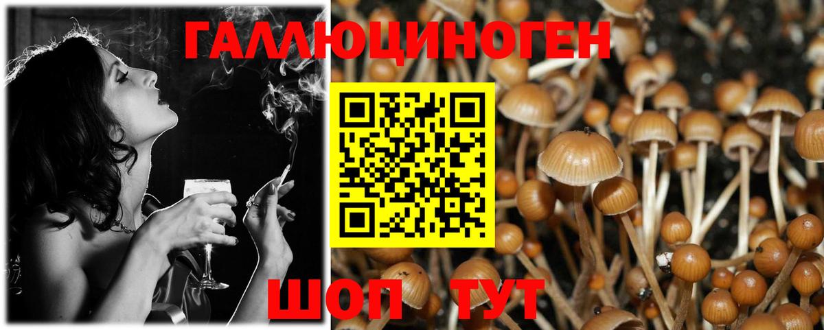 Галлюциногенные грибы Psilocybine cubensis Фролово